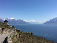 2017-04-29 14-59-58 197af0e2